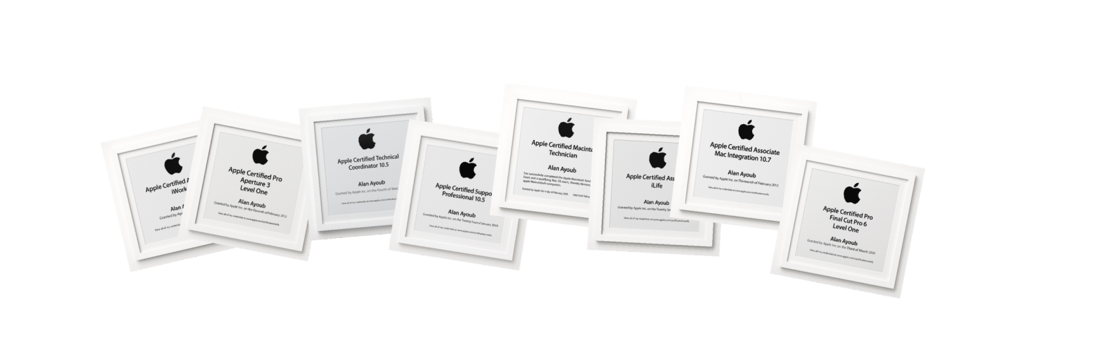 fan_banner_variety_v2